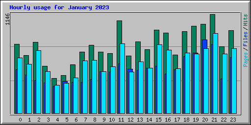 Hourly usage for January 2023